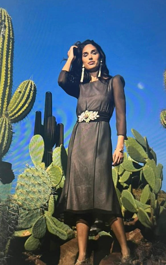 Brown belted dress with sheer sleeves